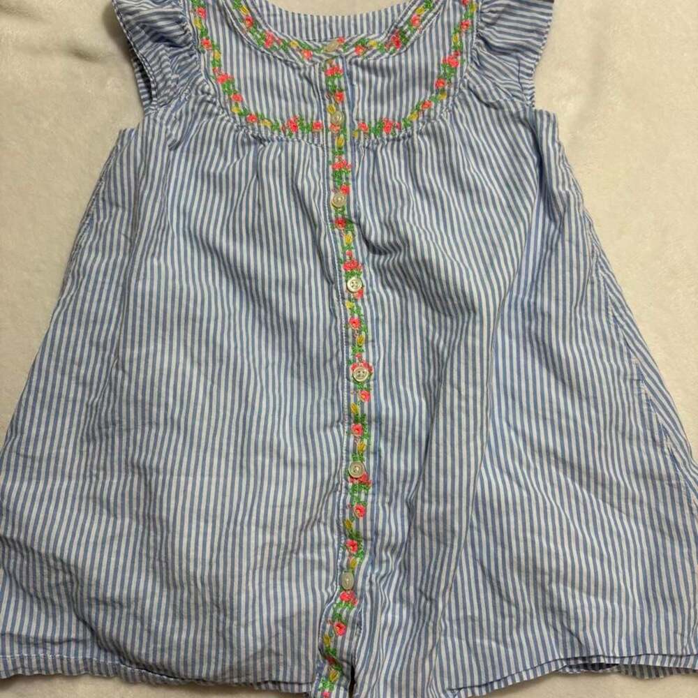 Baby GAP Blue and White Striped Floral Embroidered Dress